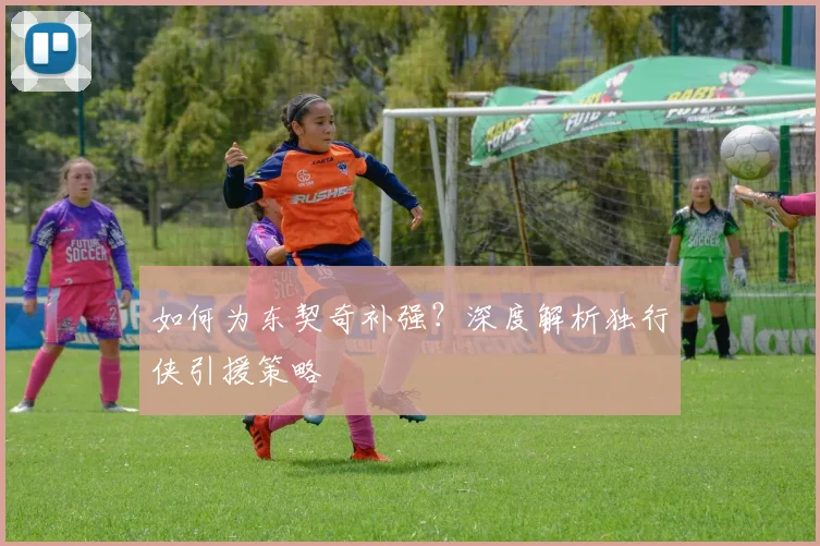如何为东契奇补强?深度解析独行侠引援策略