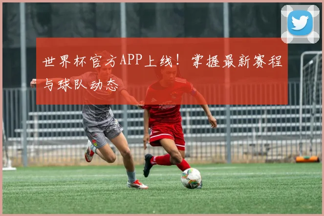 世界杯官方APP上线！掌握最新赛程与球队动态