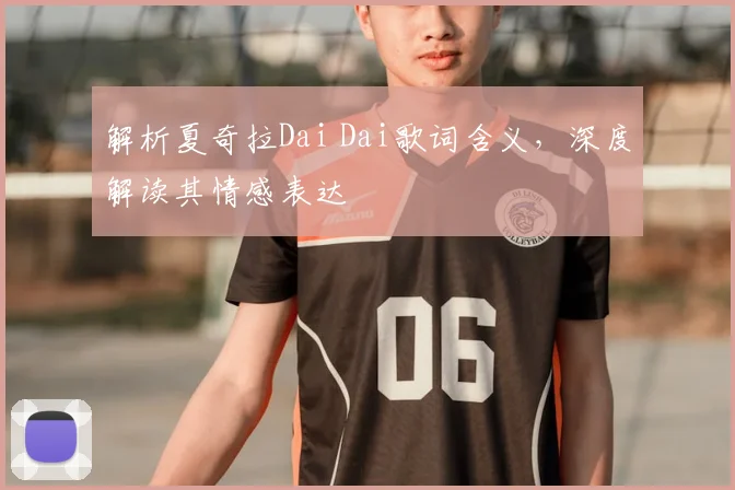 解析夏奇拉Dai Dai歌词含义,深度解读其情感表达