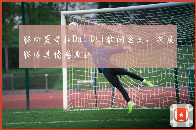 解析夏奇拉Dai Dai歌词含义，深度解读其情感表达